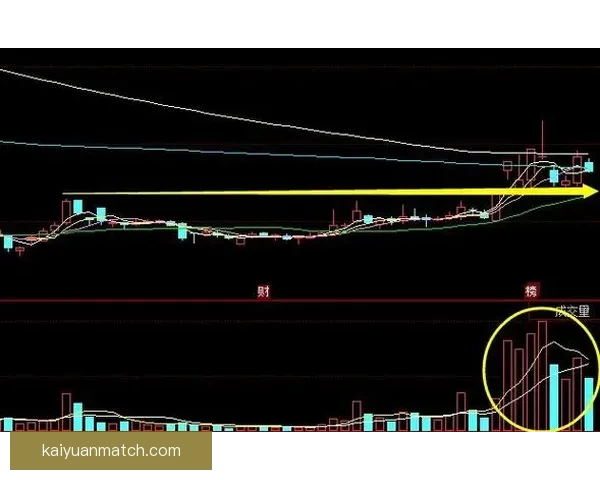 世界杯赛事深度盘口分析与精准竞猜策略全面解读
